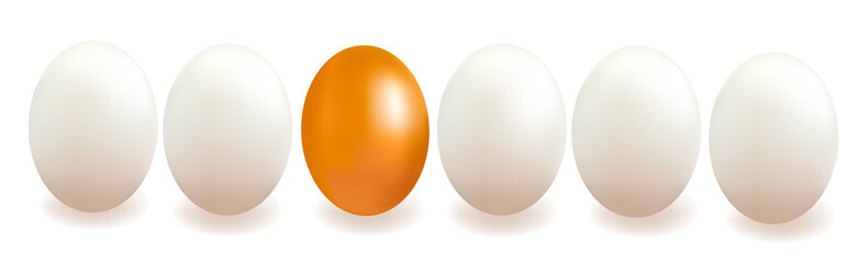 Different object. Concept with eggs. Vector.