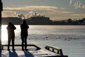 Cool Morning At The Lake