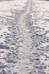 Weg mit Schnee, way with snow