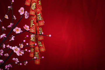 Chinese New Year Decoration