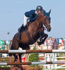 Jinete a caballo saltando obstáculo