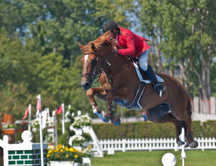 Jinete a caballo saltando obstáculo