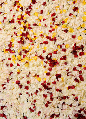 Background of multi-colored rose petals