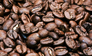 Coffee beans closeup