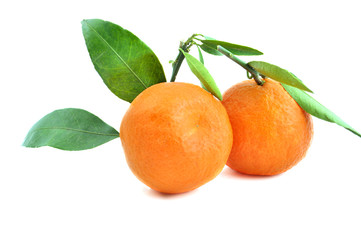 tangerines