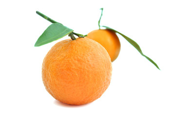 tangerines
