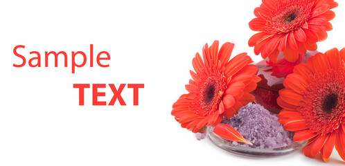 sea salt with gerbera flowers