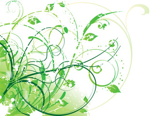 abstract flower Illustration vector spring summer green