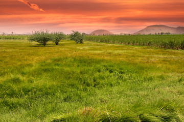 Scenic farm landscape