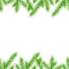 Fir branches on white background. Seamless horizontal pattern