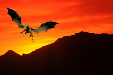 Papier Peint photo autocollant Dragons Dragon Coucher de Soleil