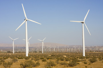 Wind turbines generating electricity in Palm Springs area