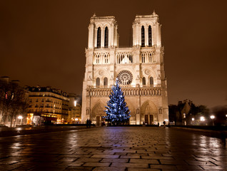 The famous Notre Dame at night in Paris - 28466912