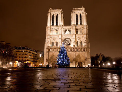 Fototapeta The famous Notre Dame at night in Paris