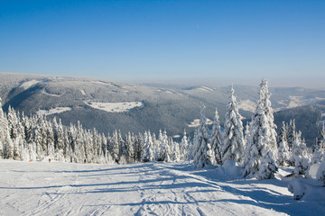 Stok narciarski - Pec pod Śnieżką - Czechy - obrazy, fototapety, plakaty