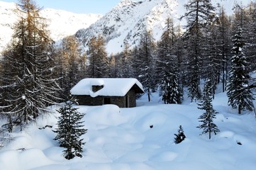 la baita di montagna
