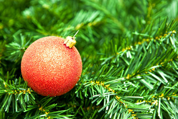 Red ornament on pine branch
