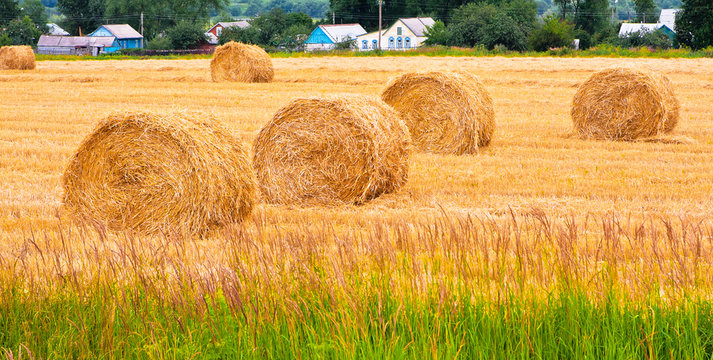 Bales of hay