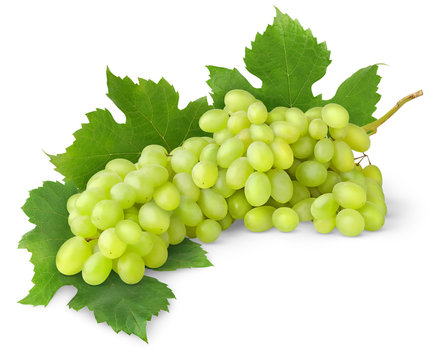 Isolated grapes. Bunch of white grape with leaves isolated on white background