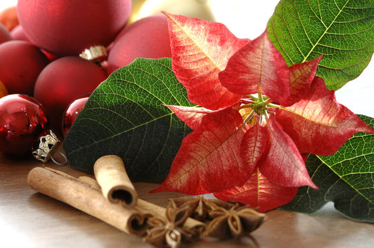 Weihnachtsstern mit Weihnachtsschmuck, Zimtstange und Anisstern