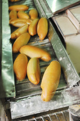 bread factory production