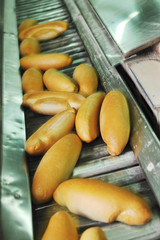 bread factory production