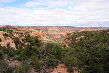 Navajo National Monument - Kayenta