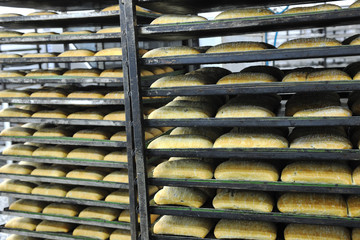 bread factory production