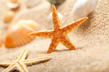 Starfish and sea shells on sand