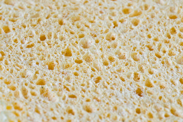 texture éponge