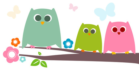 owls © dip