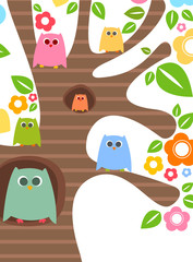 owls © dip