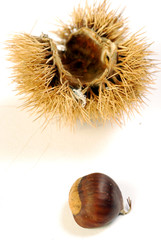 Profumo d'autunno 004