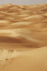Sahara Tunisino