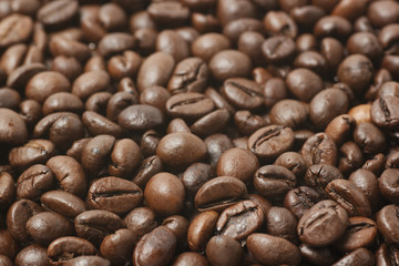 roasted coffee beans