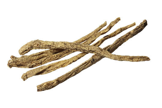 radix codonopsis pilosulae