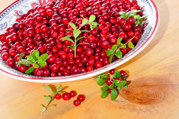 Preiselbeeren