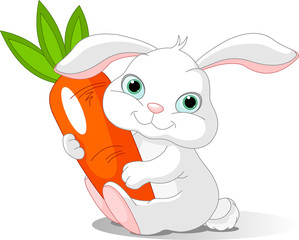 Rabbit holds giant carrot