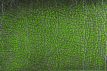 green leather texture