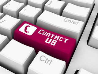 contact us