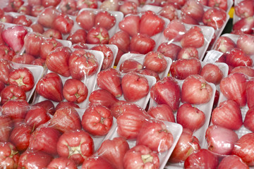 A bunch of juicy pink and red water apples in plastic packaging