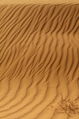 Sahara Desert  Morocco