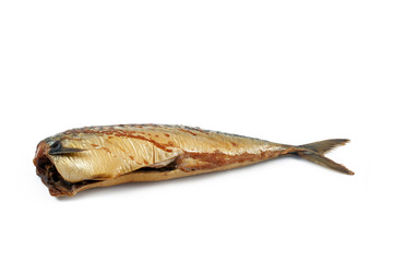 mackerel