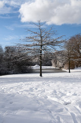 winter landscape Holland