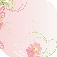 pink frame flowers vector
