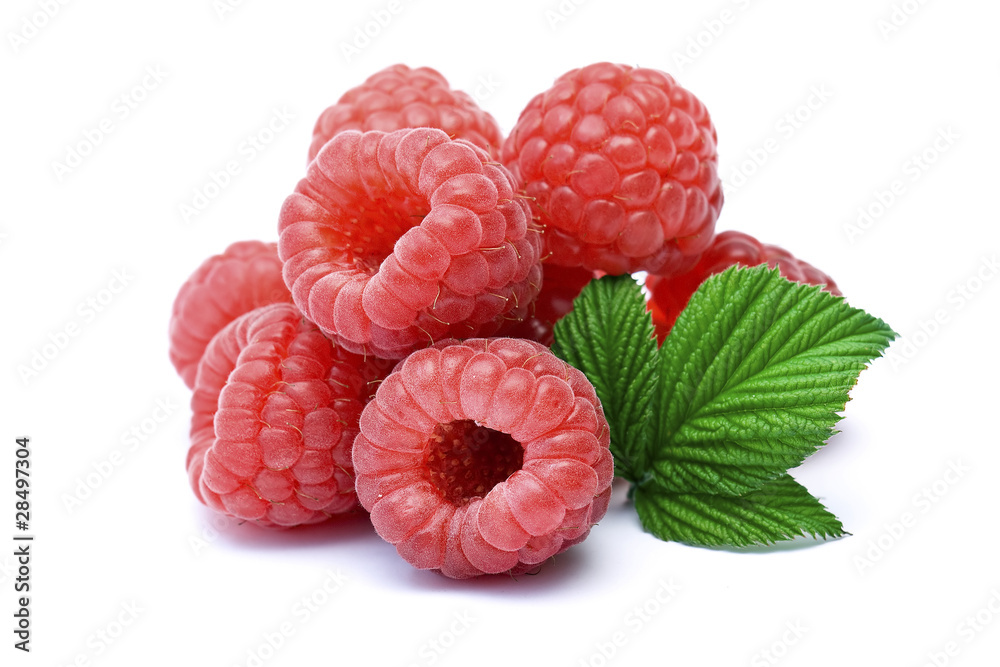 Wall mural raspberries on white background