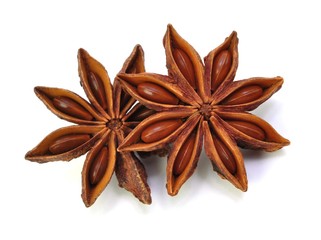Sternanis
