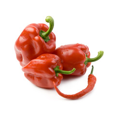 Sweet and hot peppers.
