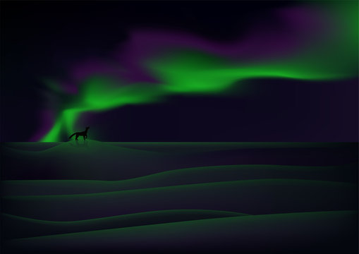 Visible aurora over snow-bound tundra