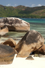 Fototapeta premium Praslin Island